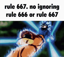 Rule 667 GIF - Rule 667 GIFs