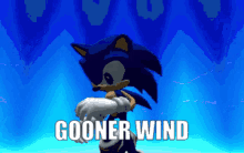 Goonsquad Sonicwind GIF - Goonsquad Sonicwind Sa2 GIFs