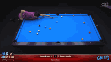 aranas pool