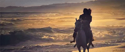 Beach GIF - Horse Horses Equine - Discover  Share GIFs