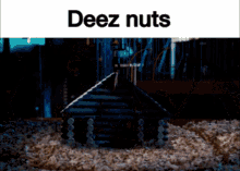 G Force Deez Nuts Original GIF - G Force Deez Nuts Original Deez GIFs