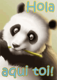 Panda Hola GIF - Panda Hola GIFs