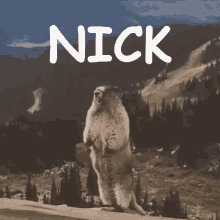 Nick GIF - Nick GIFs