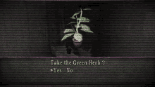 herb evil