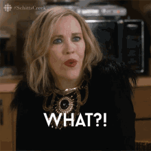 What Im Simply Asking Questions Catherine Ohara GIF - What Im Simply Asking Questions Catherine Ohara Moira GIFs