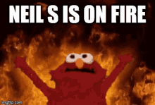 Neil S Is On Fire Elmo GIF - Neil S Is On Fire Elmo Burning Background GIFs