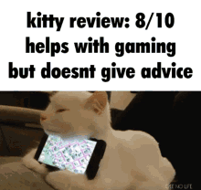 review kitty