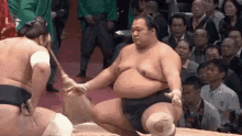 Sumo Sumo Fight GIF - Sumo Sumo Fight Japan GIFs