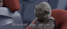 Meme Revealed Your Opinion Is GIF - Meme Revealed Your Opinion Is Yoda GIFs