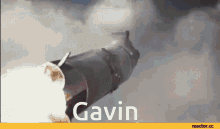Space Launch Funny GIF - Space Launch Funny Meme GIFs
