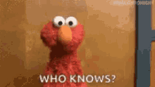 Elmo Who Knows GIF - Elmo Who Knows Idgaf GIFs