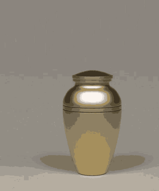 In You Go Get Inside GIF In You Go Get Inside Jar Discover & Share GIFs