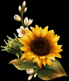 Sunflower Yellow Flower GIF - Sunflower Flower Yellow Flower GIFs