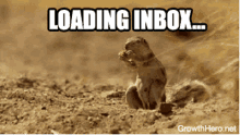 Email Squirrel Lots Of Emails GIF - Email Squirrel Email Lots Of Emails GIFs