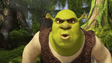 Shrek Angry GIFs | Tenor