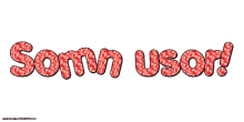 somn usor