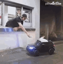 Driving The Pet Collective GIF - Driving The Pet Collective Drive Thru GIFs