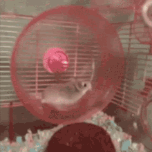 Hamster Flying GIF - Hamster Flying Running GIFs
