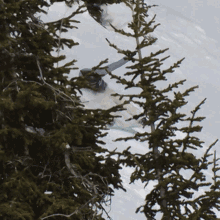 sliding down the hill zoi sadowski synnott red bull snowboarding sliding downwards