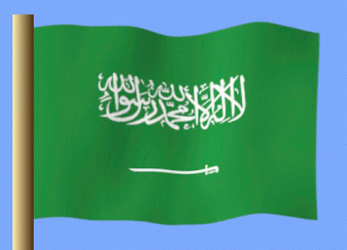 Suudi Arabistan GIF - Suudi Arabistan - Discover & Share GIFs