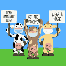 Herd Immunity Now Cow GIF - Herd Immunity Now Cow Get The Vaccine GIFs