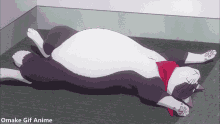new game cat sleeping fat