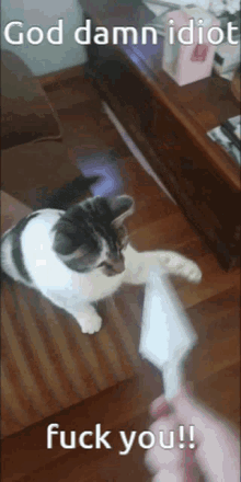 Cat Butters GIF - Cat Butters GIFs