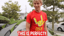 This Is Perfect Stephen Sharer GIF - This Is Perfect Stephen Sharer Flawless GIFs