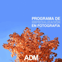 educacion fotografia