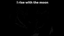 katara moon avatar the last