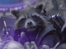 rocket raccoon