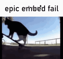 Epic Embed Fail Cat GIF - Epic Embed Fail Cat Cat Skateboard GIFs