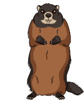 Woodchuck Groundhog Sticker - Woodchuck Groundhog Stickers