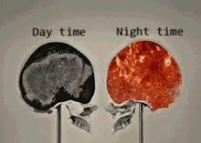 Daytime Nighttime GIF - Daytime Nighttime Brain GIFs