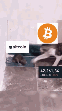 slap shitcoin bitcoin crash stxbtc