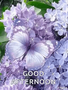 Greetings Good Afternoon GIF - Greetings Good Afternoon Glitter GIFs