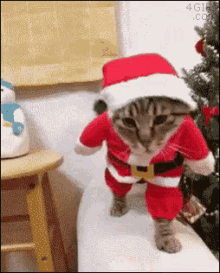 メリークリスマス 猫 ネコ ねこ GIF - Jpchristmas Cat Neko GIFs