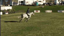 show jumping horses bridgesequestrian showjumping
