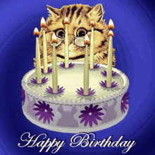 Happy Birthday Birthday Cake GIF - Happy Birthday Birthday Cake Birthday Cat GIFs