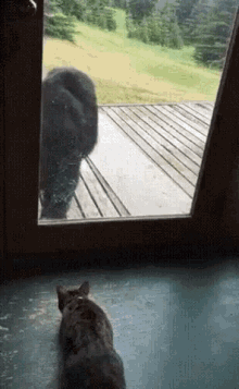 Cat House Proctected GIF - Cat House Proctected Bear And Cat GIFs