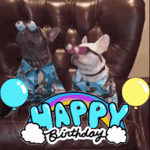 Happy Birthday Dogs Googly Eyes GIF - Happy Birthday Dogs Googly Eyes Pup GIFs