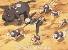 Yang Gang Fitness Kakashi GIF - Yang Gang Fitness Kakashi Dogs GIFs