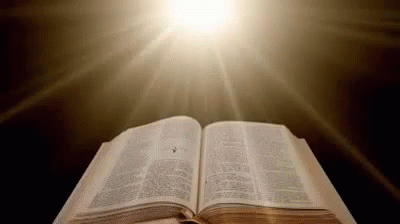 Bible GIF - Holy Bible Bible Word Of God - Discover & Share GIFs