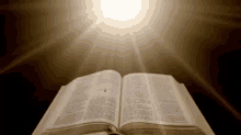 Bible GIF - Holy Bible Bible Word Of God GIFs