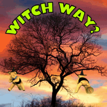 Which Way Witch Way GIF - Which Way Witch Way What Direction GIFs