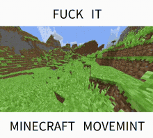 Fuck It Minecraft Movement GIF - Fuck It Minecraft Movement Video Game GIFs