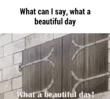 Levi W Hat A Beautiful Day To Not Give A Single Fuck GIF - Levi W Hat A Beautiful Day To Not Give A Single Fuck Attack On Titan GIFs