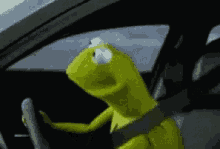Kermit Driving GIF - Kermit Driving Drive GIFs
