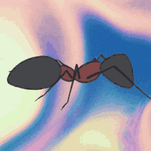 Ants Colorful GIF - Ants Colorful Walking GIFs