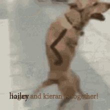 Hailey Kieran GIF - Hailey Kieran Together GIFs